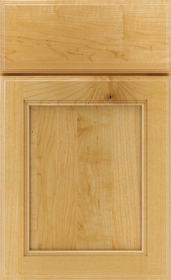 Hudson Cabinet Door Thomasville
