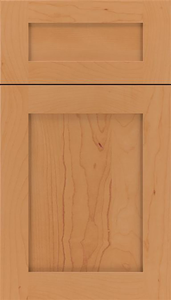 Salem 5pc Maple shaker cabinet door in Ginger 