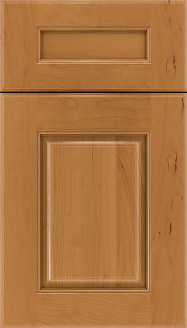 Whittington 5pc Cherry raised panel cabinet door in Ginger